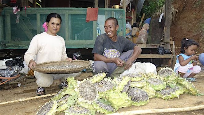 Wujudkan Mimpi Mang Toha Mengubah Nasib Petani