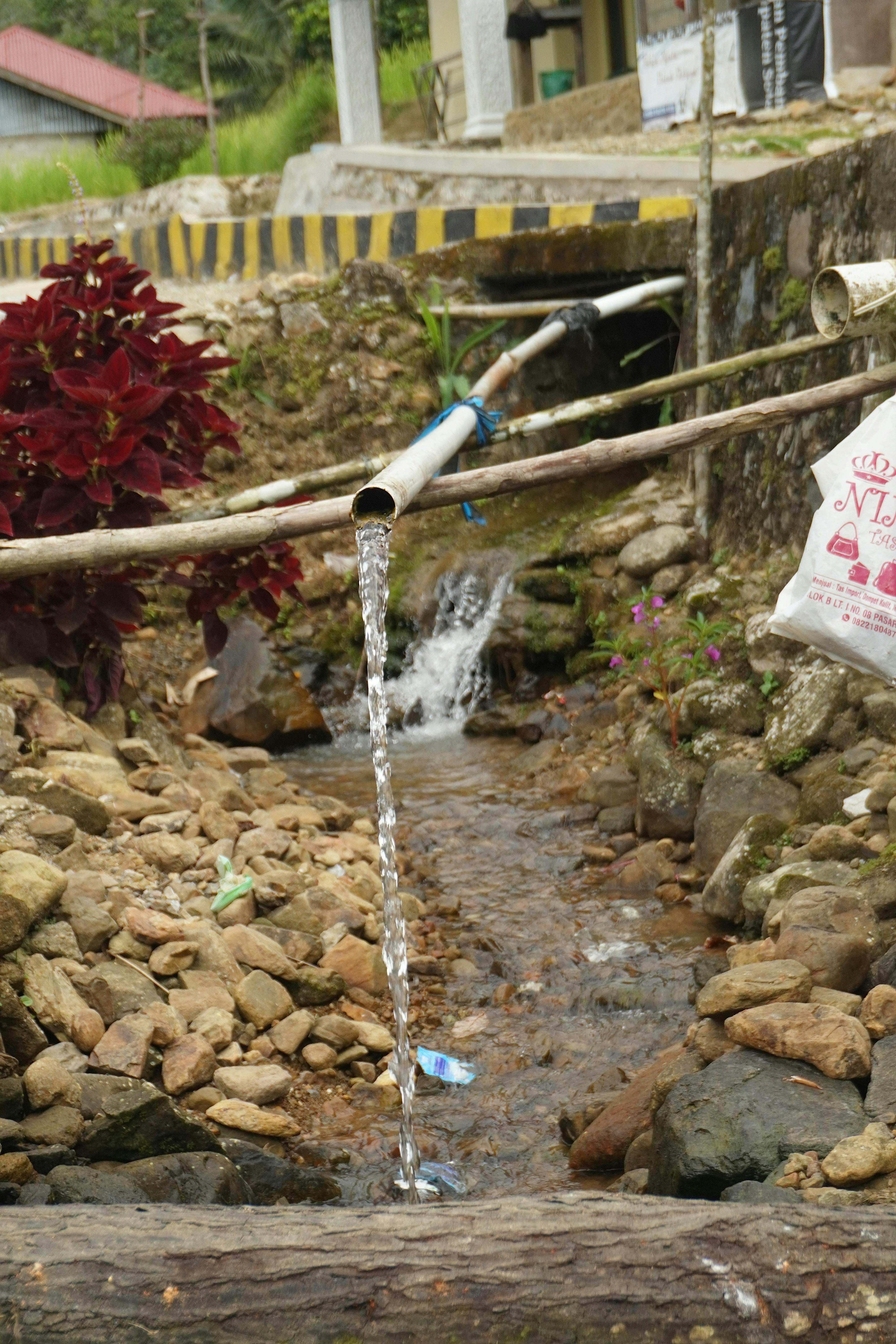 07d0d4f7-58bd-11f0-836f-1ec7f9dcd35e_87D6ACB675D43FD7.jpg?auto=compress,format&cs=tinysrgb&fm=pjpg