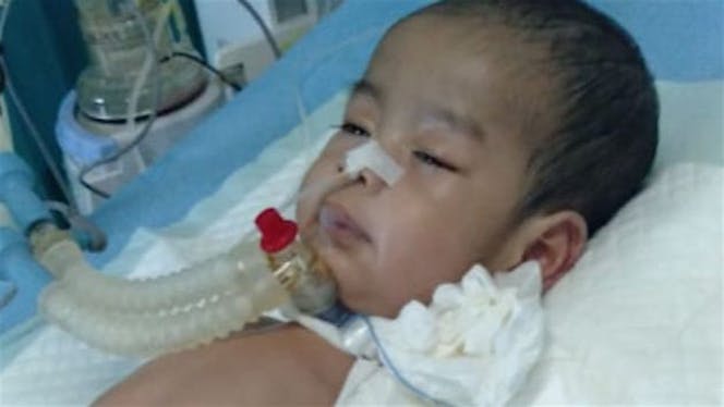 Bantu zio beli ventilator