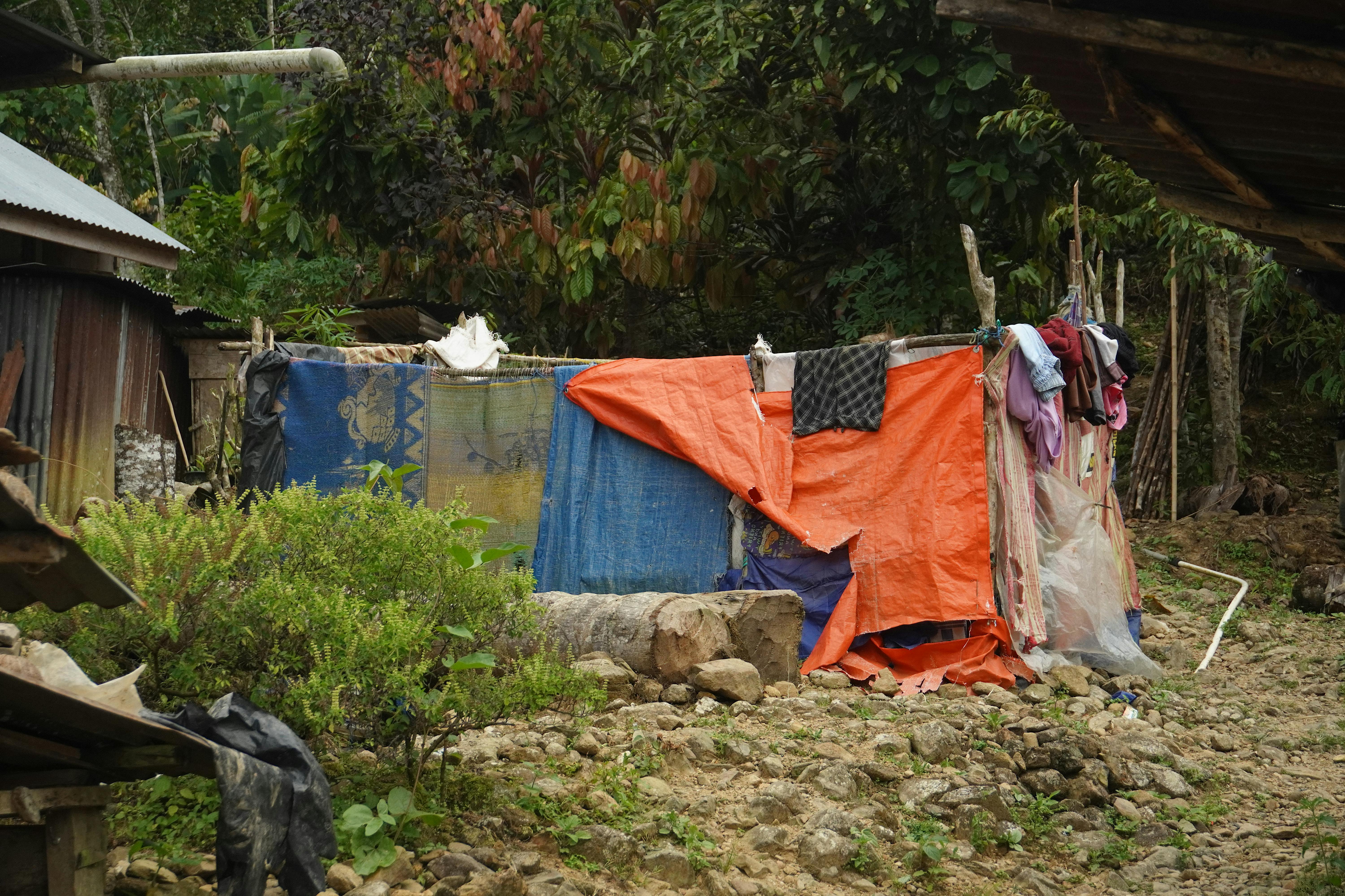 1750f35c-58bc-11f0-836f-1ec7f9dcd35e_97B8ED3A055F8D5E.jpg?auto=compress,format&cs=tinysrgb&fm=pjpg