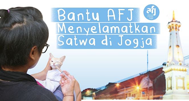 Bantu Animal Friends Jogja menolong satwa!