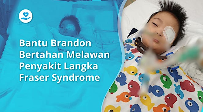 Jelang Natal, Brandon Ingin Lawan Fraser Syndrome