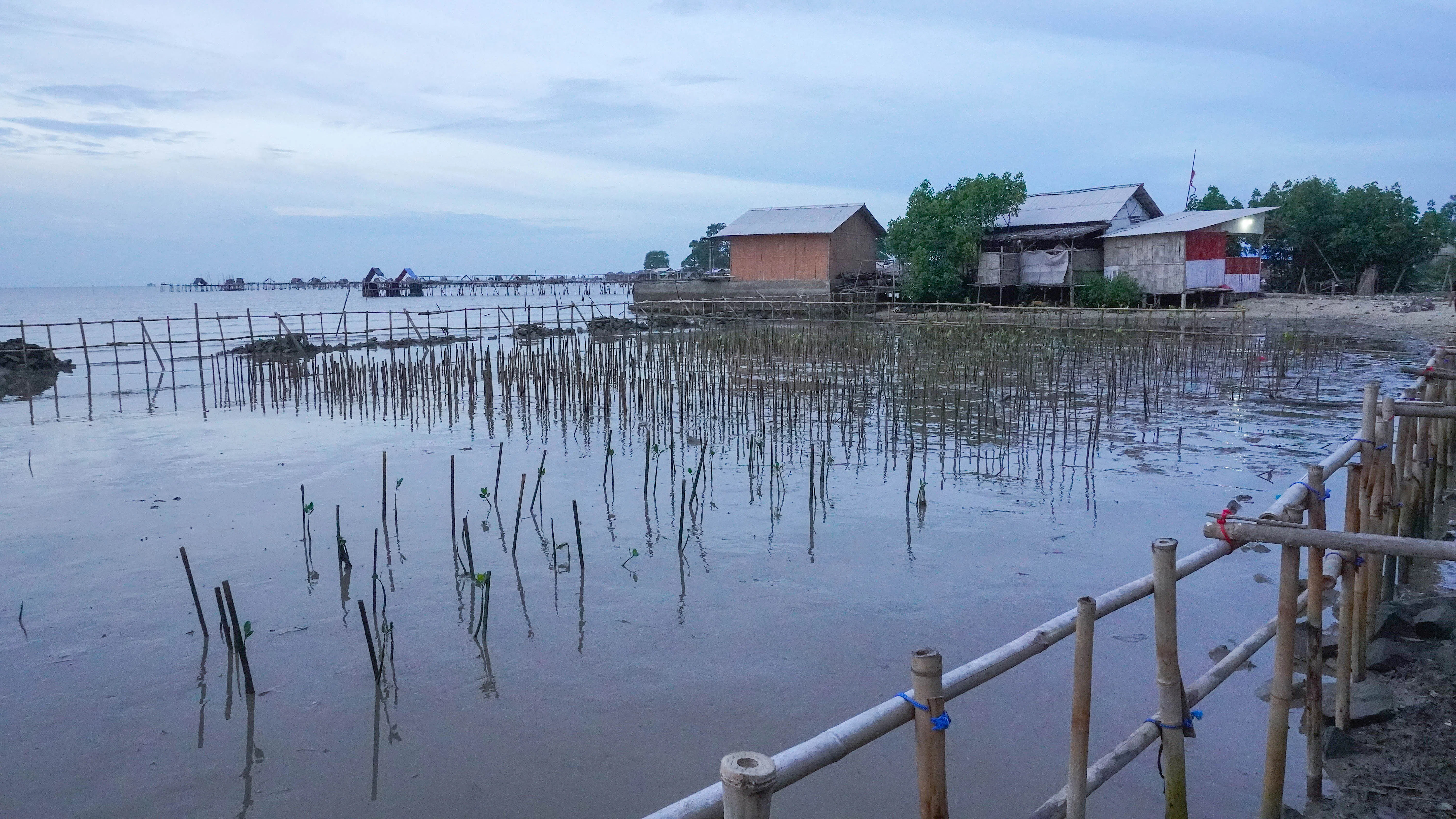 23cacb6a-ca5c-11f0-bf73-ce66a09e2646_4B60630260AB885.jpg?auto=compress,format&cs=tinysrgb&fm=pjpg