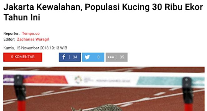 Steril Kucing Jalanan - Bersama Atasi Overpopulasi