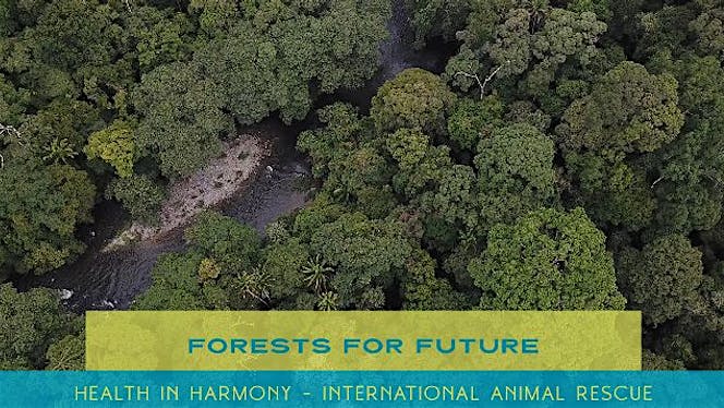 Hutan untuk Masa Depan #ForestsforFuture