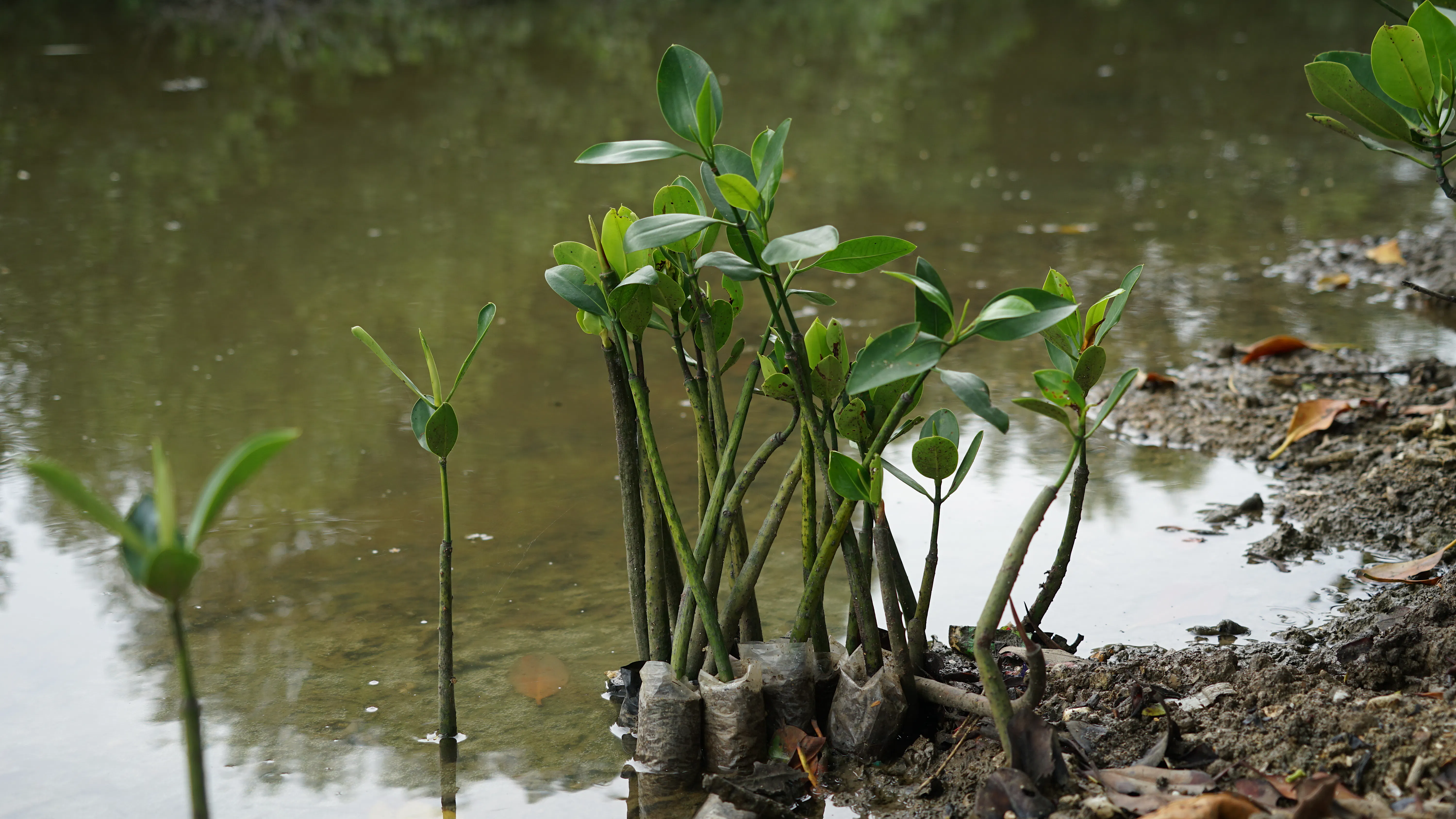 3dafd02a-ca5c-11f0-bf73-ce66a09e2646_C9CA2D29C5B8B2D6.jpg?auto=compress,format&cs=tinysrgb&fm=pjpg