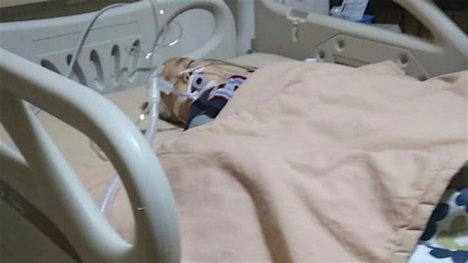 bantuin dede adam melawan tumor di belakang kepala