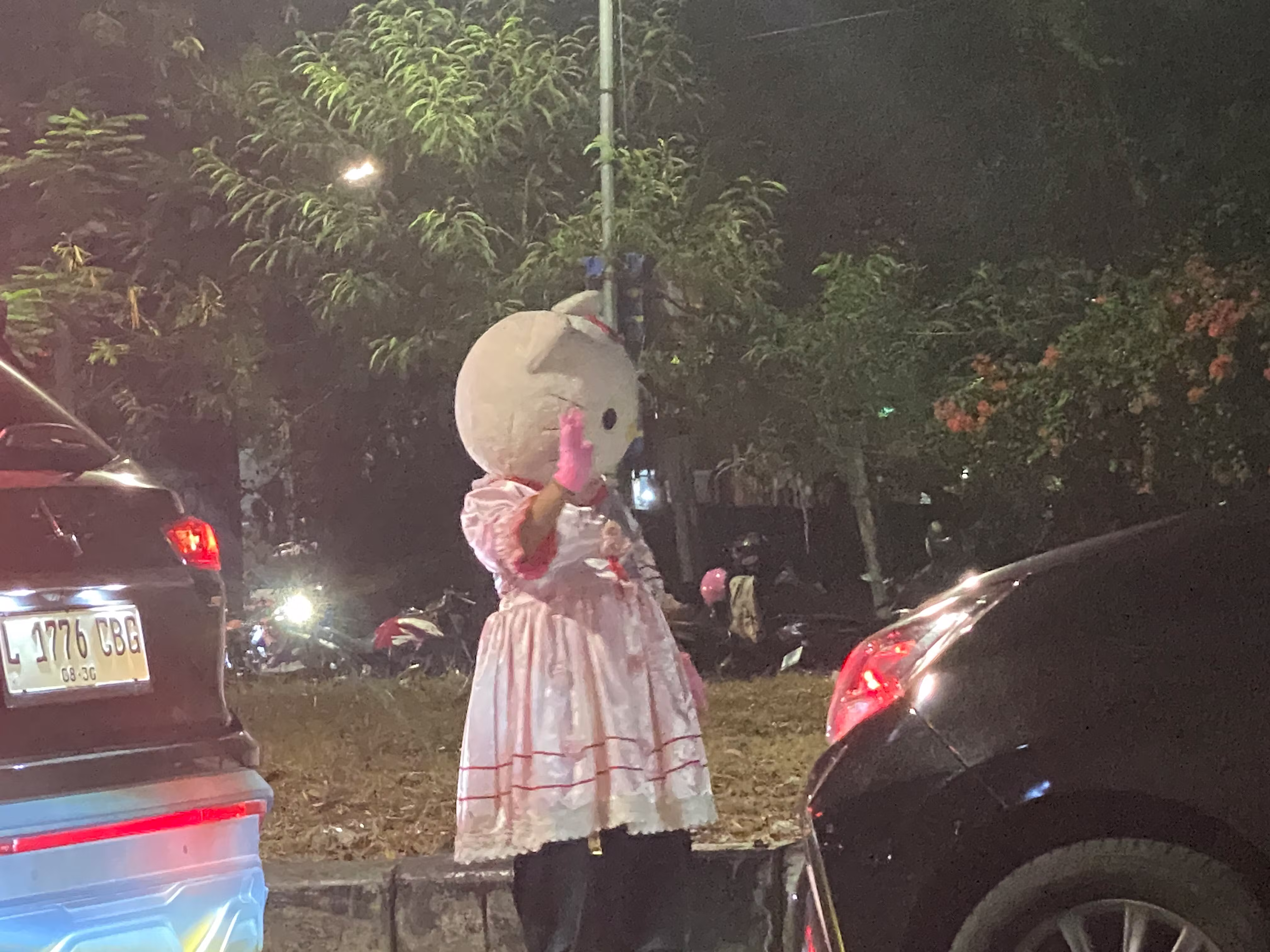 503d2306-b154-11f0-b6c3-d693ac13af9d_66F09854CEF06B92.jpg?auto=compress,format&cs=tinysrgb&fm=pjpg