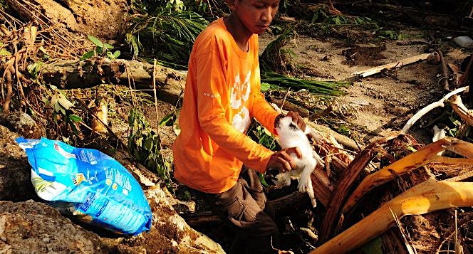 TOLONG SATWA TSUNAMI BANTEN