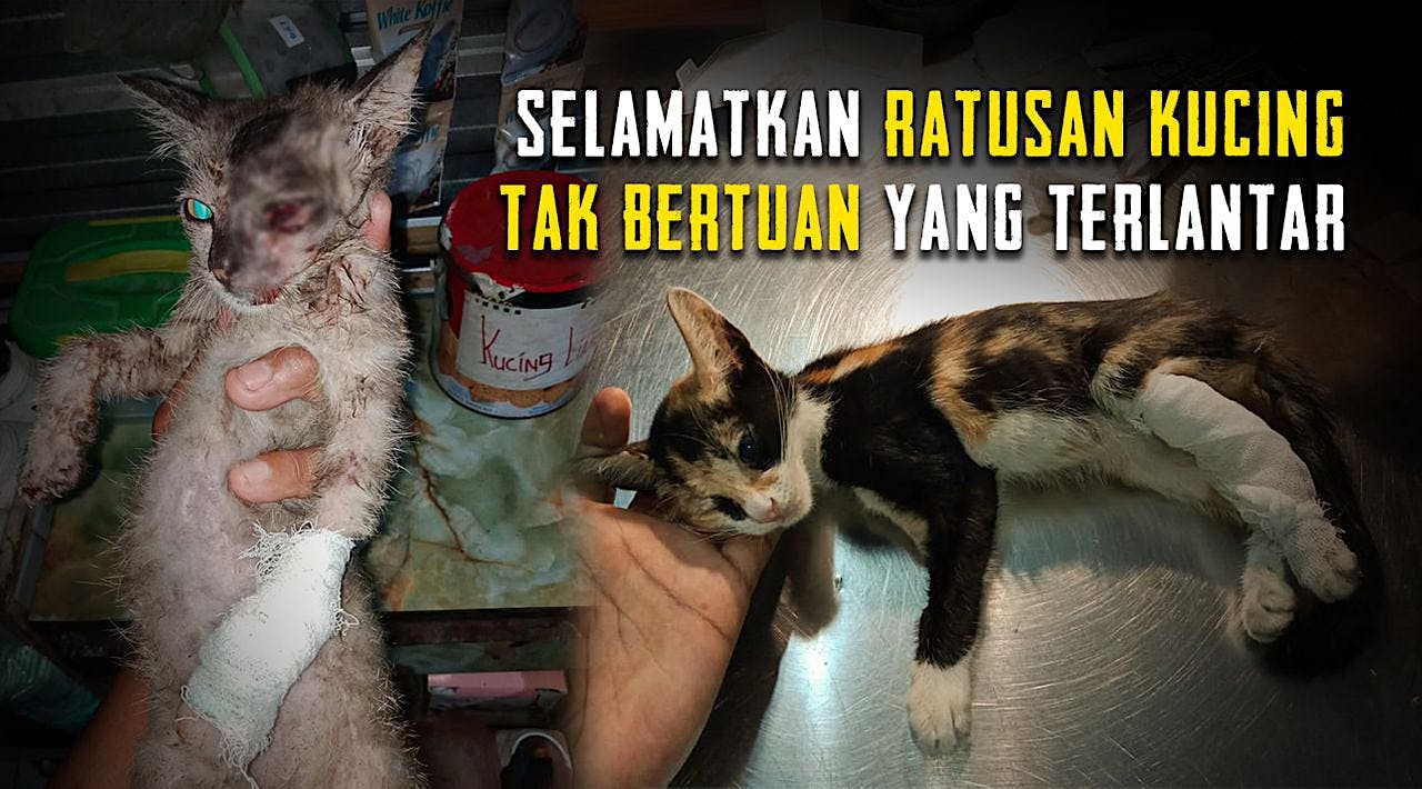 Jangan Biarkan Mereka Terlantar dan Terluka