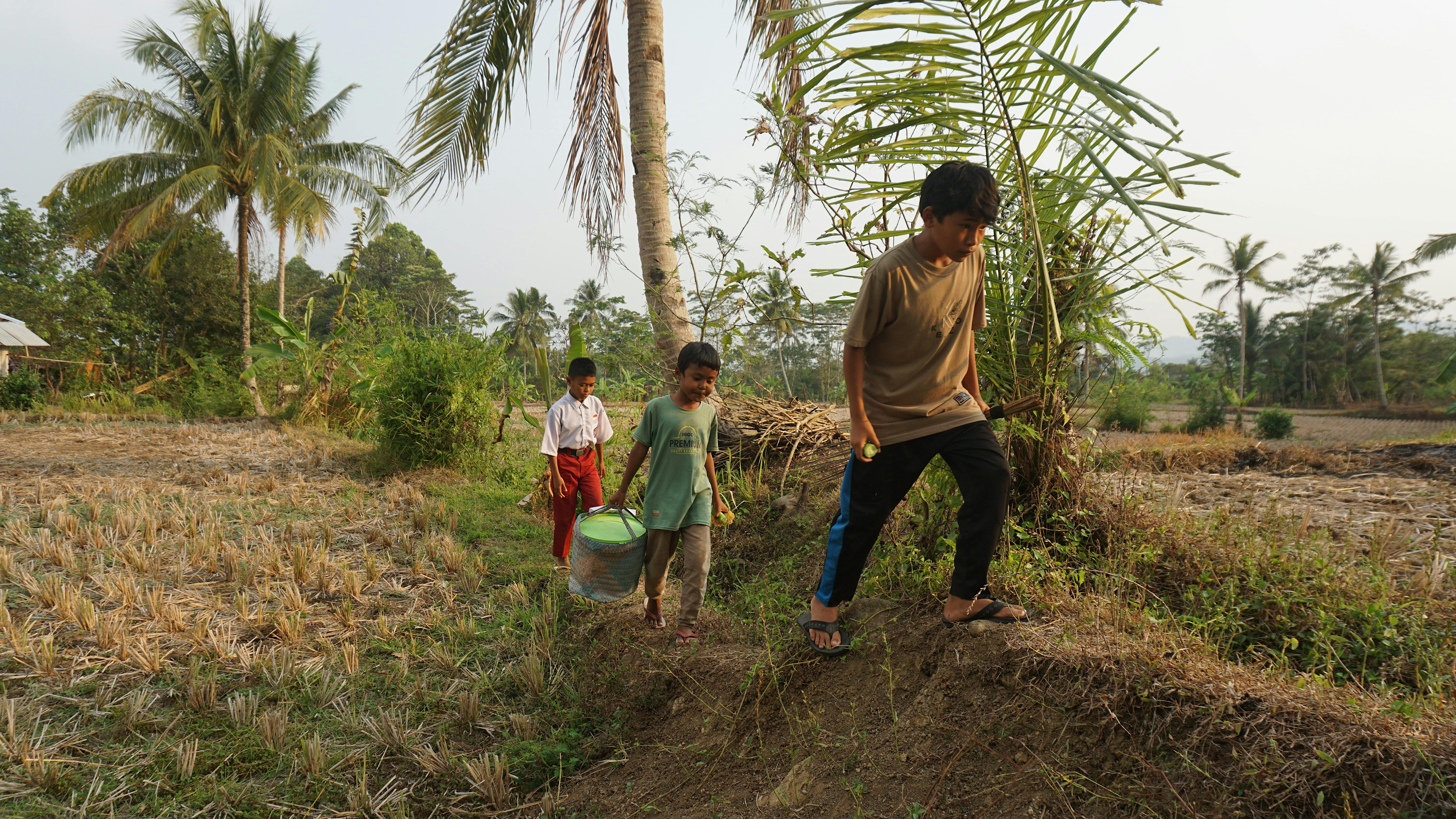 5f7d1cc6-6f33-11ee-9864-de8495c5bf2b_B8872B1EE55738B9.jpg?auto=compress,format&cs=tinysrgb&fm=pjpg