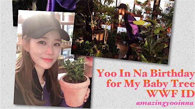 Yoo In Na Birthday for My Baby Tree WWF ID