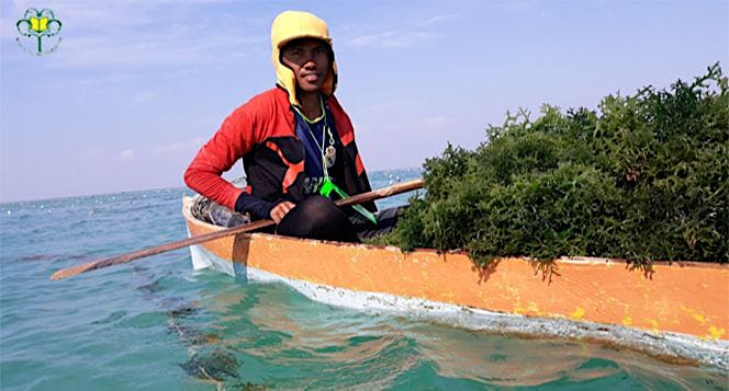 Bantu Syariv dan Adik Asuh Lainnya untuk Kuliah