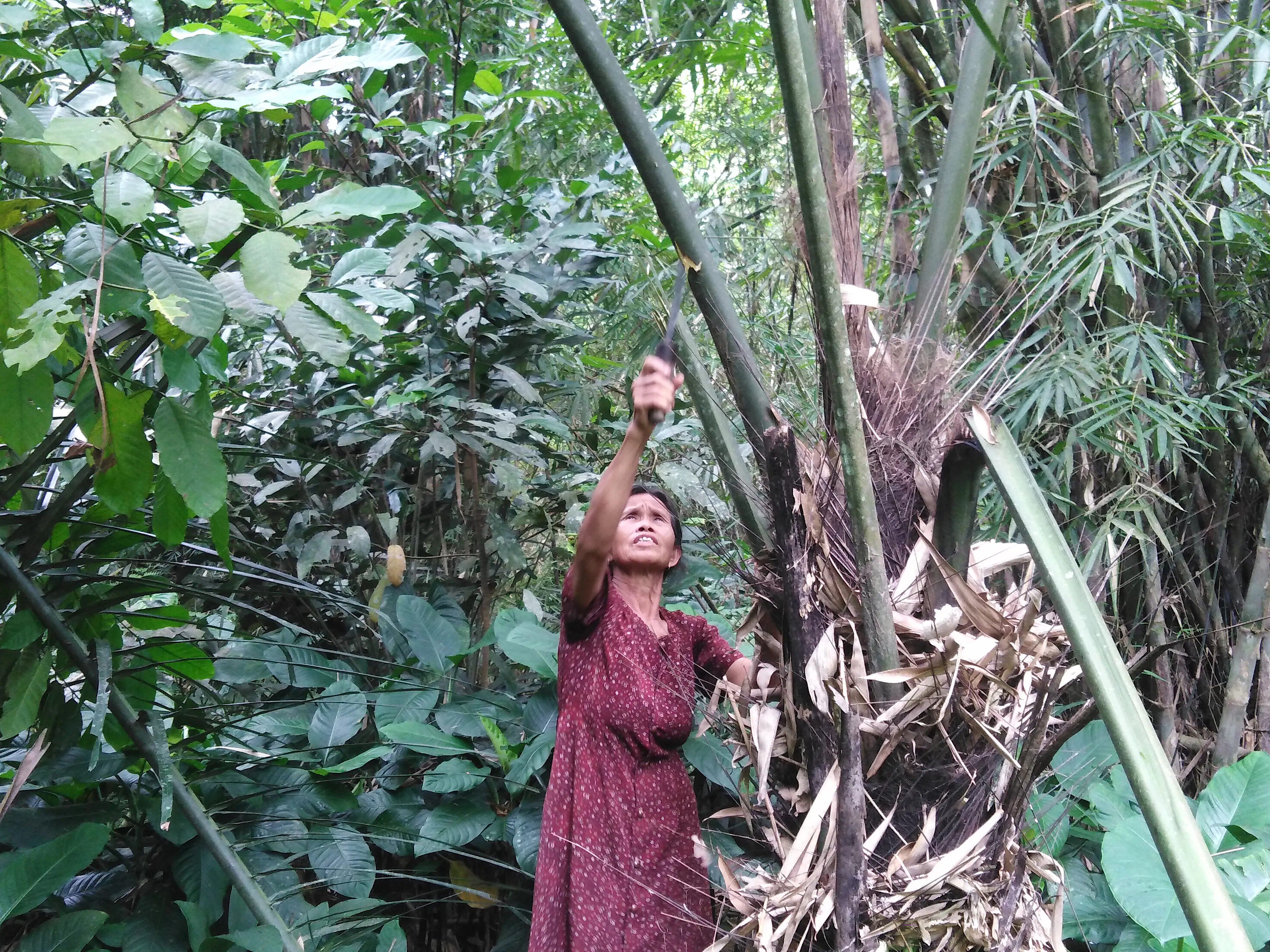 8d417c2d-072c-11f1-9f7f-9a256ed290ed_7F8BEB15F7550A1A.jpg?auto=compress,format&cs=tinysrgb&fm=pjpg