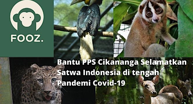 Berbagi demi Kelestarian di Konservasi Cikananga