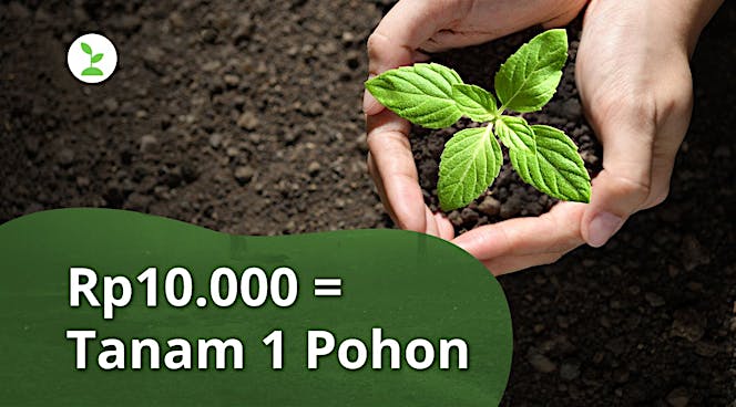 Hijaukan Indonesia dengan Patungan Pohon