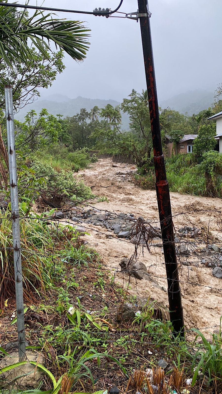 9ca5df4e-c99f-11f0-bf73-ce66a09e2646_51B6BAB3B9D2B56.jpg?auto=compress,format&cs=tinysrgb&fm=pjpg