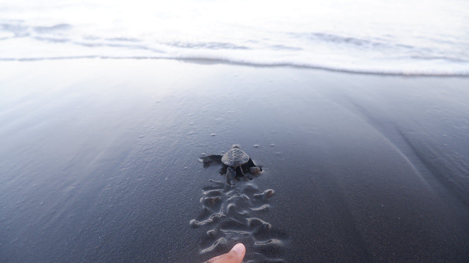 aa9960e5-2259-11ee-adf9-e6895af0855b_4AE7E56DD4BB250F.jpg?auto=compress,format&cs=tinysrgb&fm=pjpg