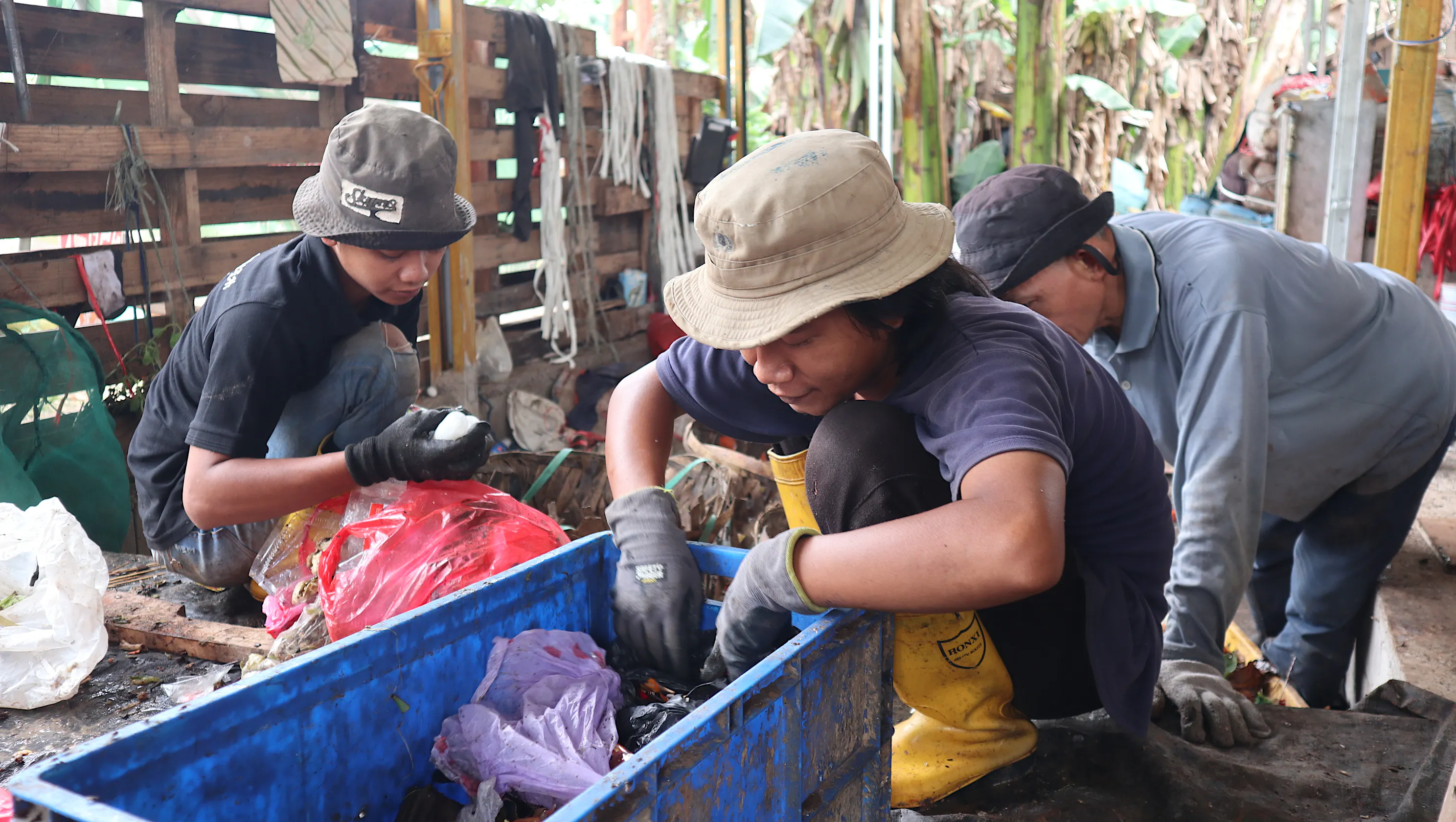 aef8743e-5ae0-11f0-836f-1ec7f9dcd35e_D316BF8CE8F656E7.jpg?auto=compress,format&cs=tinysrgb&fm=pjpg