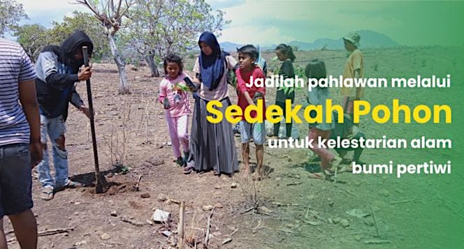 Sedekah Pohon untuk Hijaukan Kembali Hutan di Bima