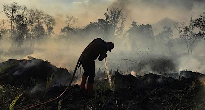 Donasi Korban Bencana Kebakaran Hutan dan Lahan
