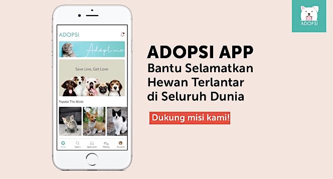 ADOPSI : Bantu Selamatkan Hewan Terlantar di Dunia