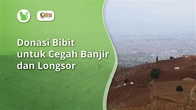 Kata Kata Mutiara Bunga Butuh Waktu Untuk Mekar kata Kata Kata Mutiara Bunga Butuh Waktu Untuk Mekar kata