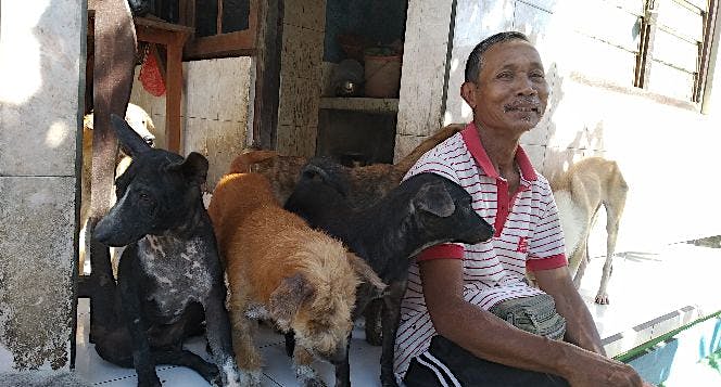 Bantu Pak Nyoman dan anjing-anjingnya yuk!