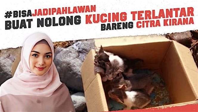 #BisaNolongHewan Bersama Citra Kirana