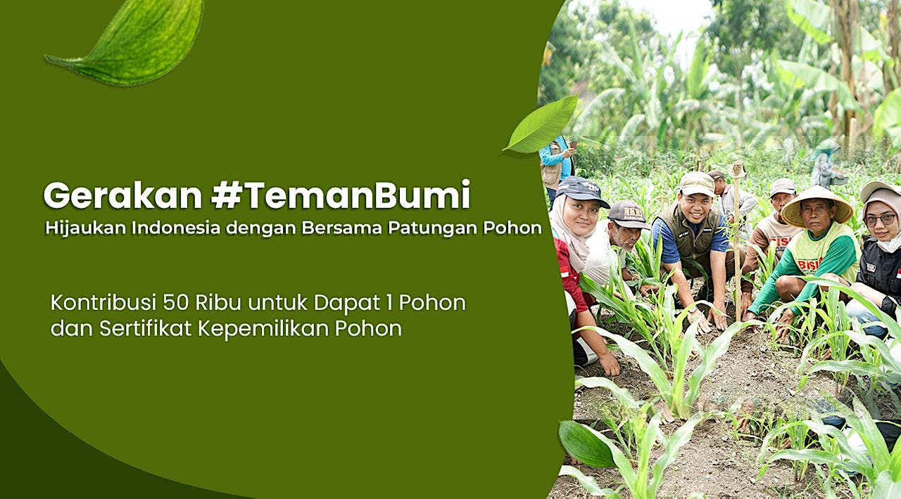 Selamatkan Bumi Dengan Tanam 12.000 Pohon