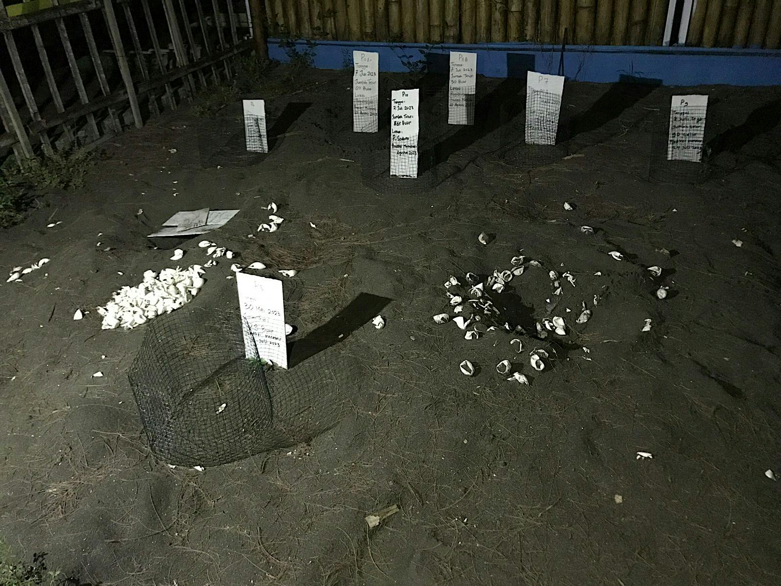 e48c4f47-2259-11ee-9fe1-a22ce62a013d_6B58C470A39F93F8.jpg?auto=compress,format&cs=tinysrgb&fm=pjpg